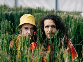 RABII HARNOUNE & V.B.KÜHL